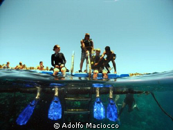 Ready to Splash in.
Grand Sharm *Iberotel*
Sharm el Sheikh by Adolfo Maciocco 